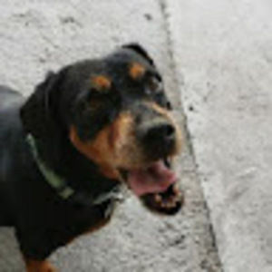 Meet your Posher, Christopher